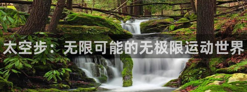 3377体育在线登录官网入口