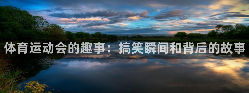 3377体育官网入口网页版