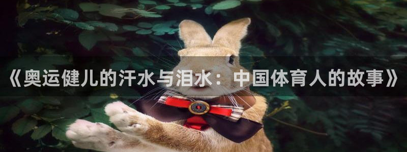 3377体育官网