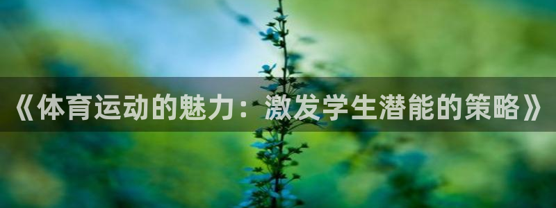 3377体育是正规的吗