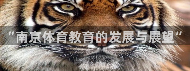 3377体育官网入口网页版