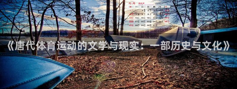 3377体育(中国)官方网站