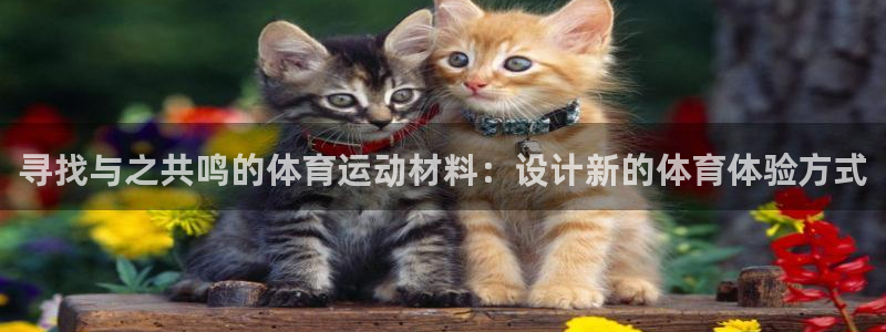 3377体育是正规平台吗