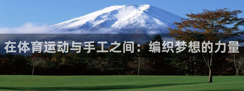 3377体育手机平台