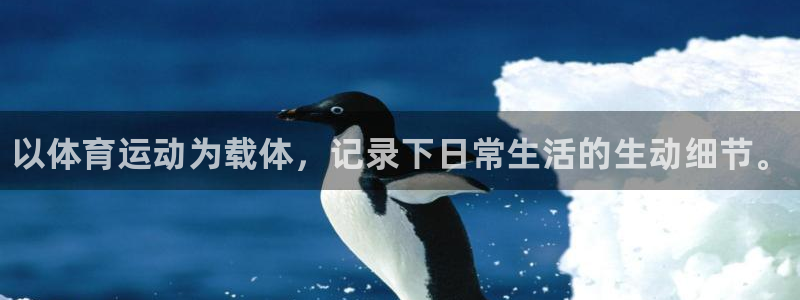 3377体育中国官方网站入口