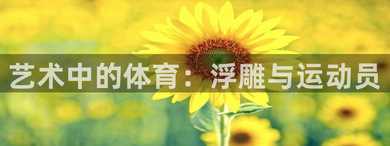 3377体育网页登录入口