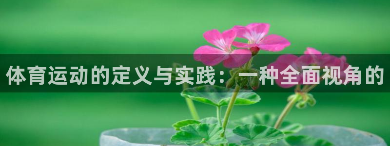 3377体育在线登录官网入口