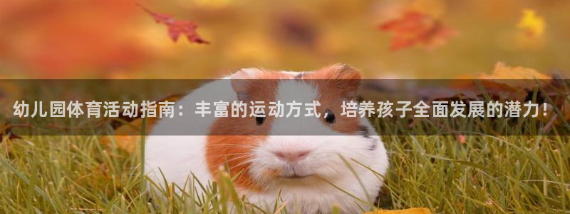 3377体育(中国)官方网站
