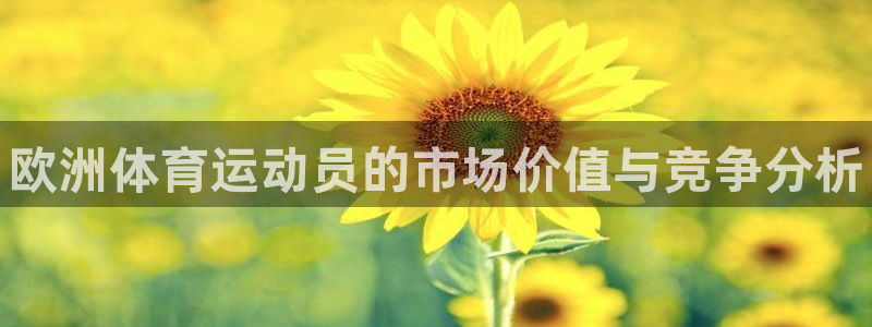 3377体育全网