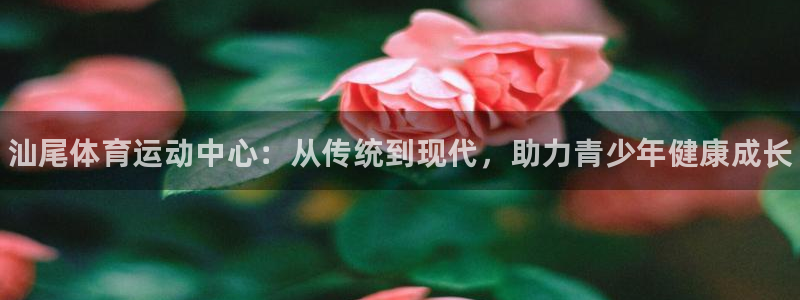 3377体育平台