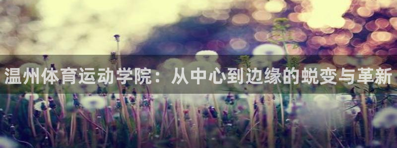 3377体育官网入口下载最新