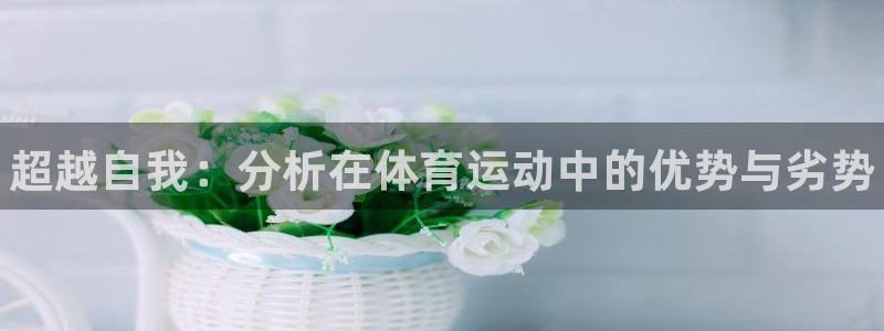 3377体育全网
