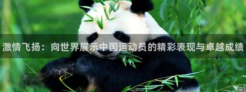 3377体育中国官方网站入口