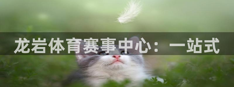 3377体育靠谱吗