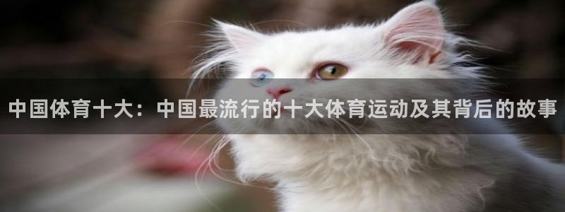 3377体育