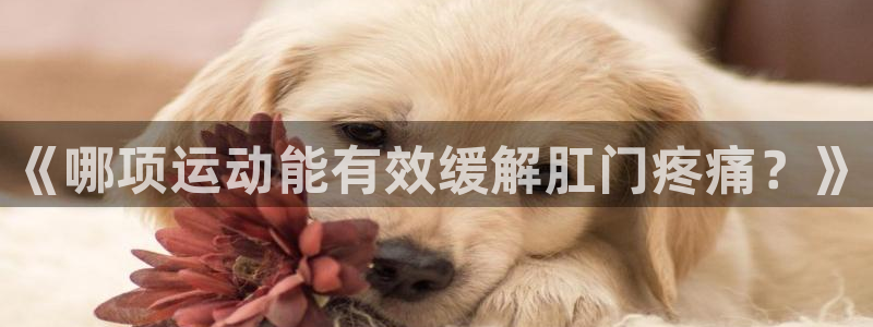 3377体育app官网下载地址