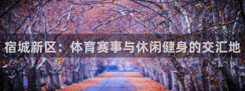 3377体育app下载安装