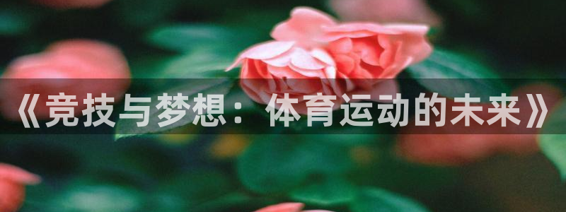 3377体育是正规的吗