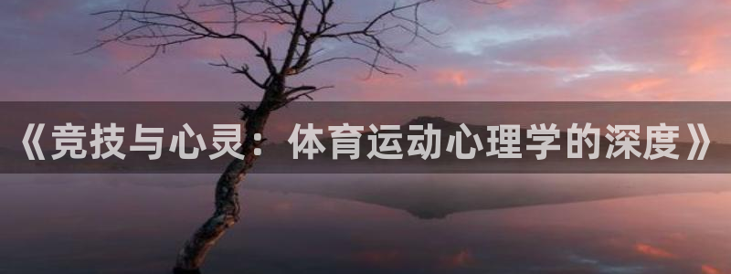 3377体育是正规的吗