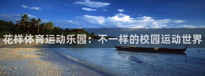 3377体育官网入口网页版