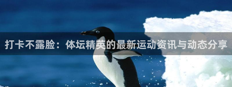 3377体育手机平台