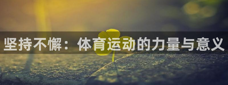 3377体育官网