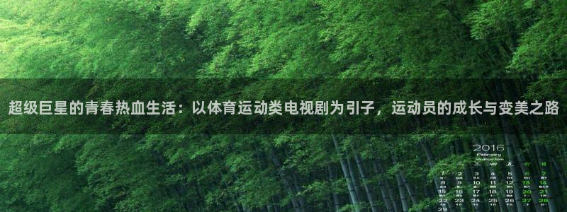 3377体育官网下载