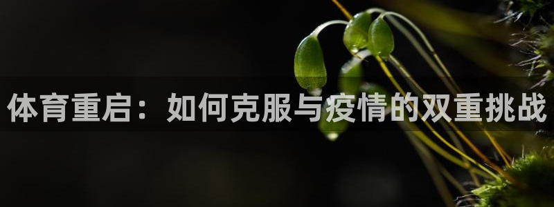 3377体育app官方下载