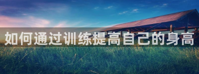 3377体育全网