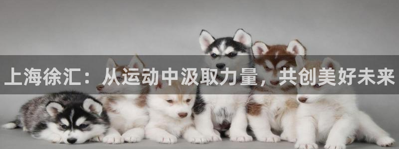3377体育是正规平台吗