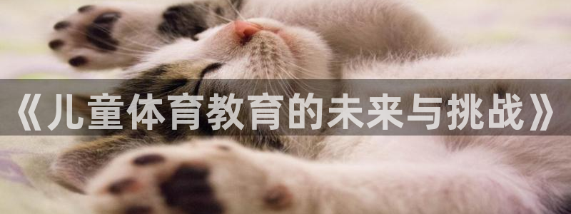 3377体育是正规的吗