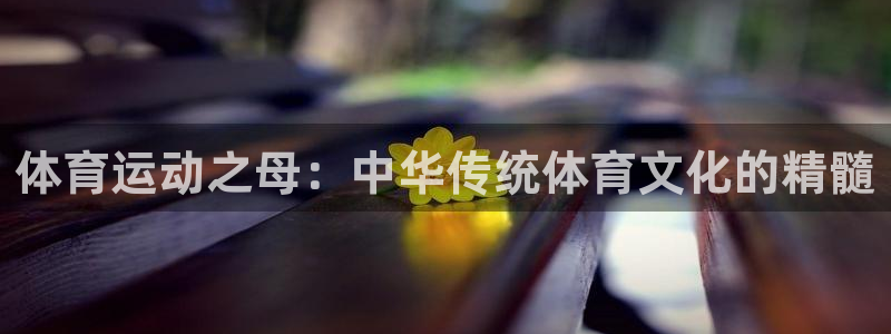 3377体育官网