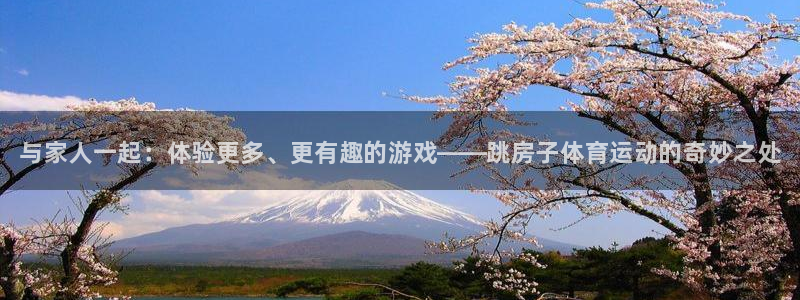 3377体育官网入口网页版