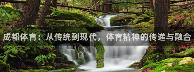 3377体育平台