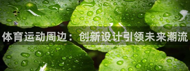 3377体育是正规平台吗