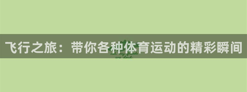 3377体育在线