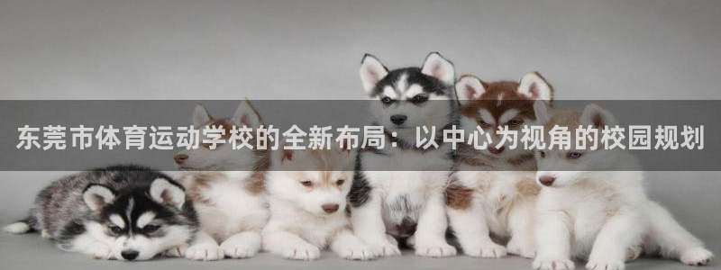 3377体育官网