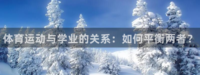3377体育官网入口网页版
