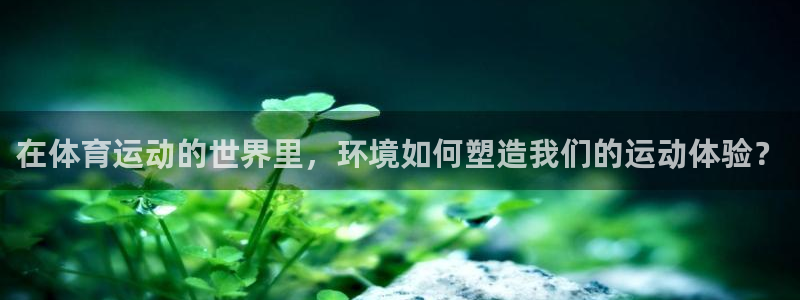 3377体育app官方下载